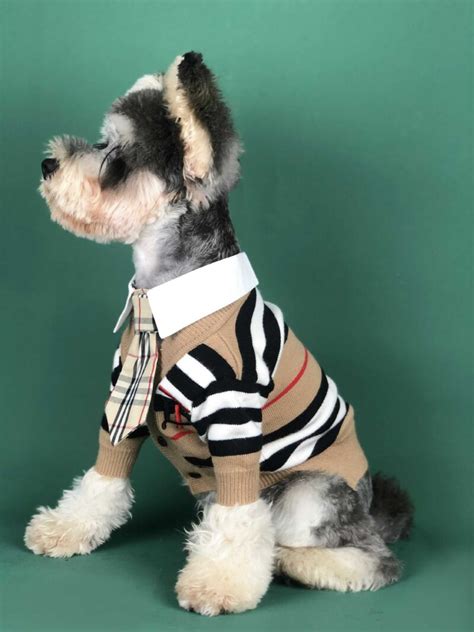 burberry style dog sweater